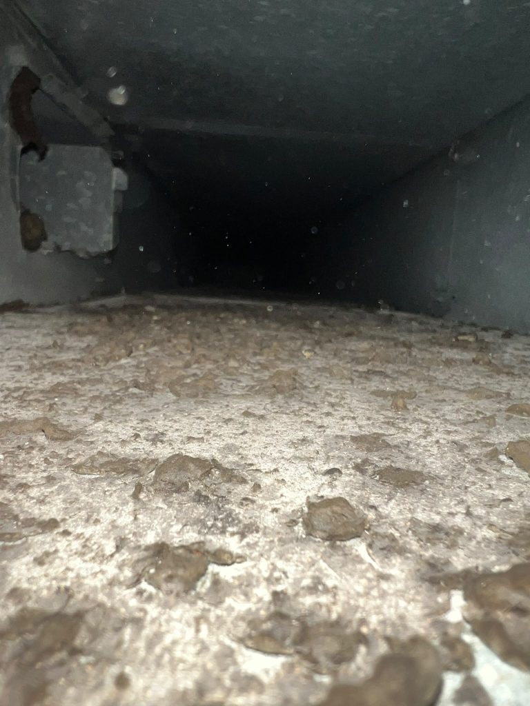 Inside the Ductwork by FreshFlow Air Services in Austin
