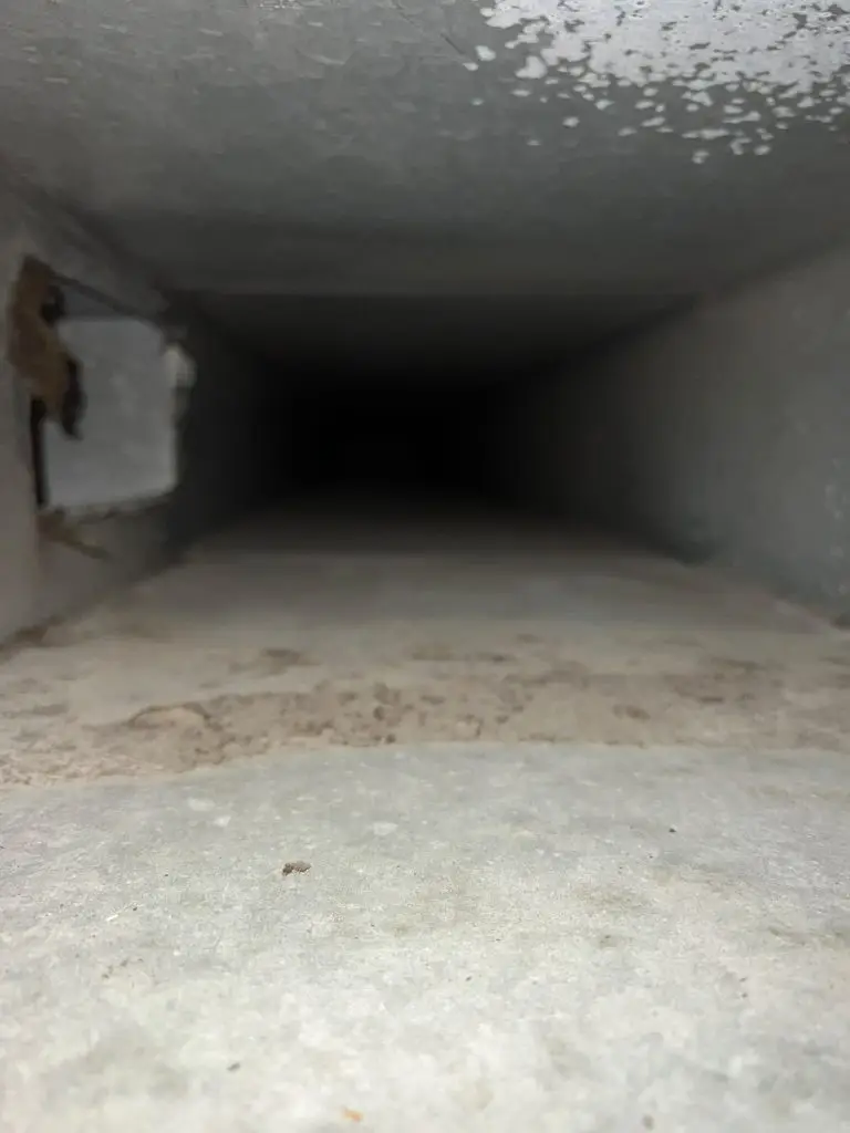 Air Duct Service Detail by FreshFlow Air Services in Austin